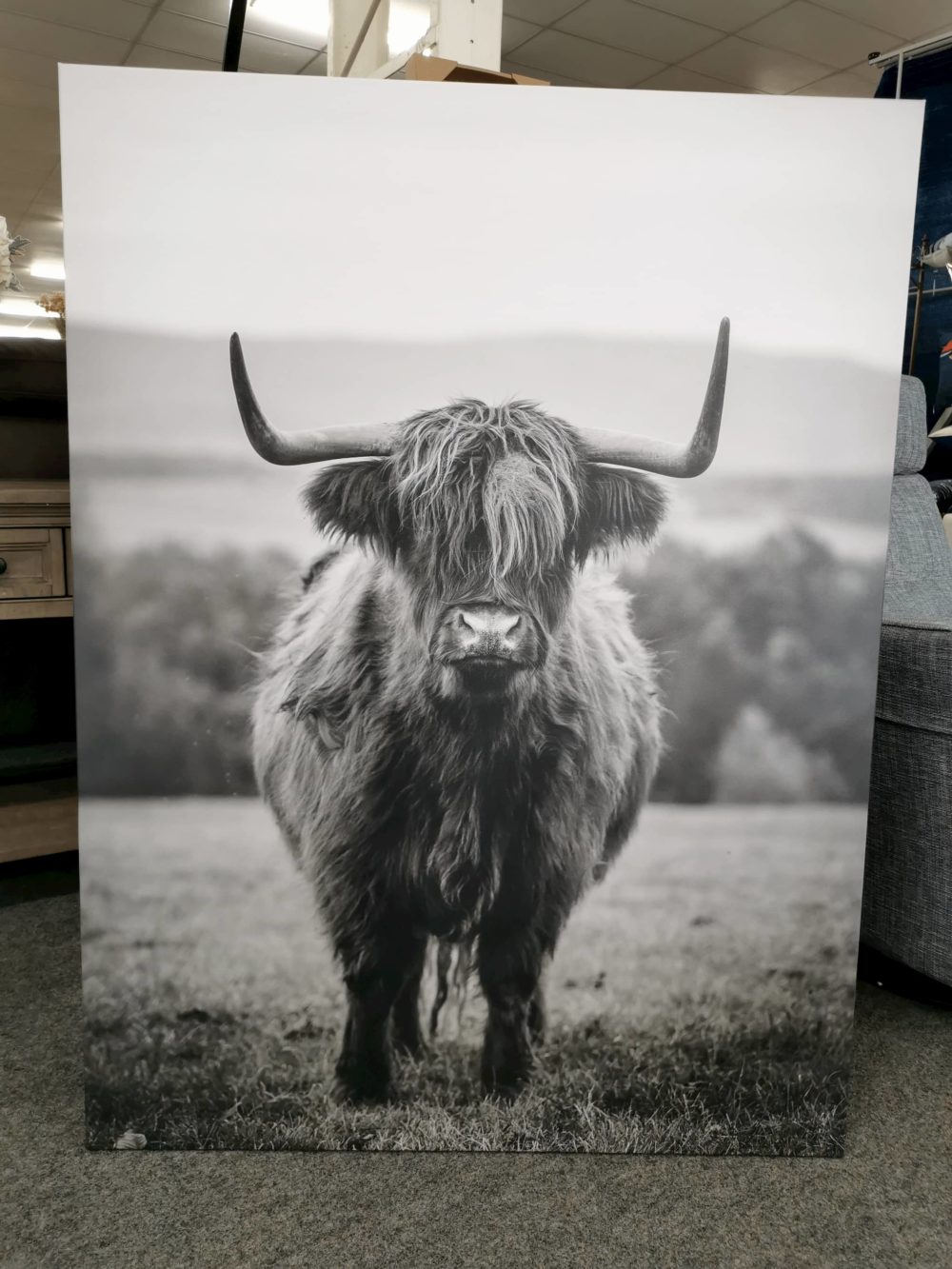 Highland Cow Canvas Greyscale Print | Rembrandt